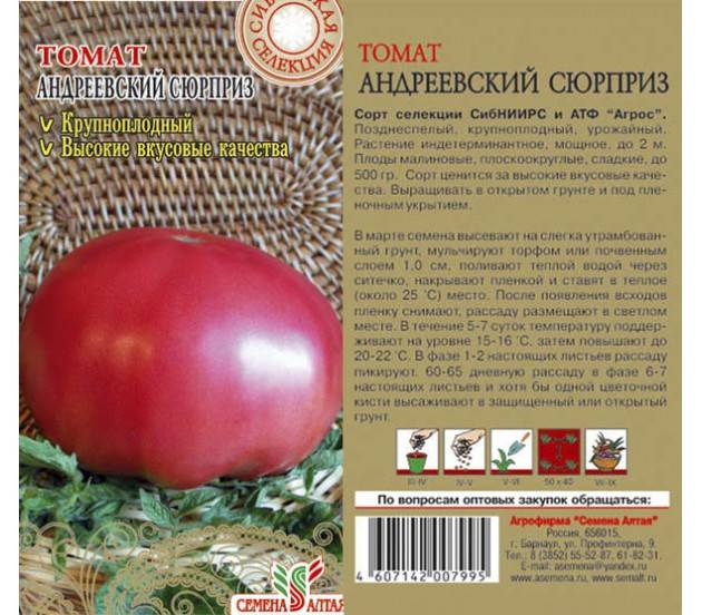 Томат андреевский сюрприз: описание крупноплодного сорта сибирской селекции, отзывы, фото, урожайность, посадка на рассаду,выращивание, уход