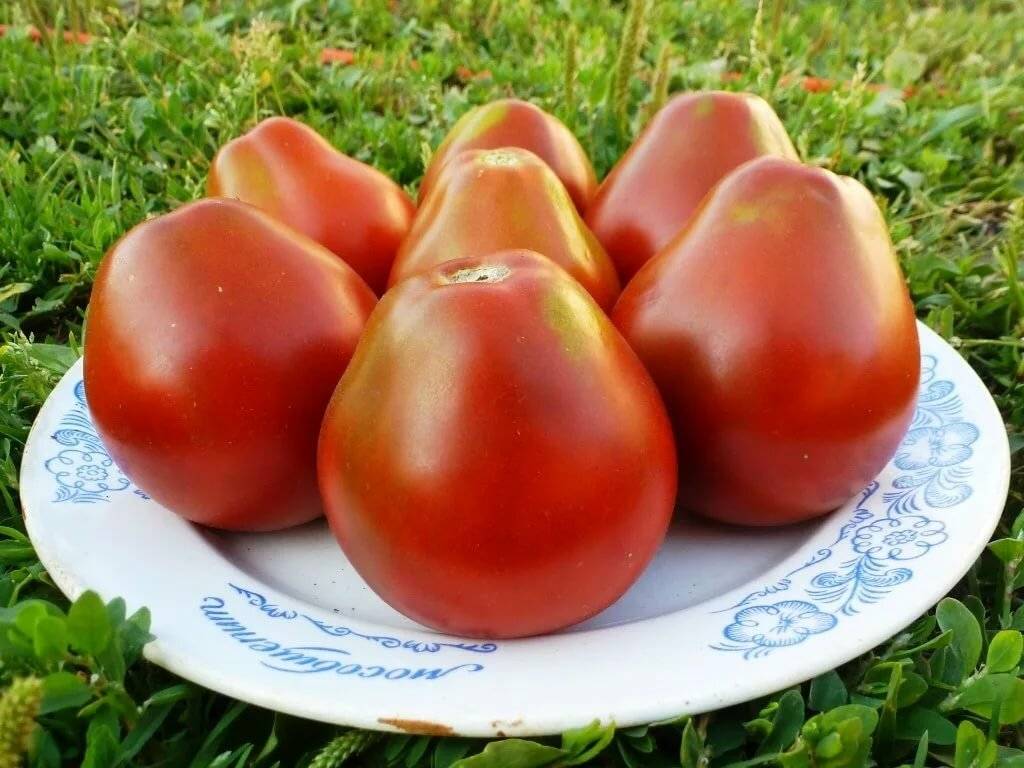 Грушевидный сорт со сладким вкусом и потрясающим ароматом — томат «иван купала»