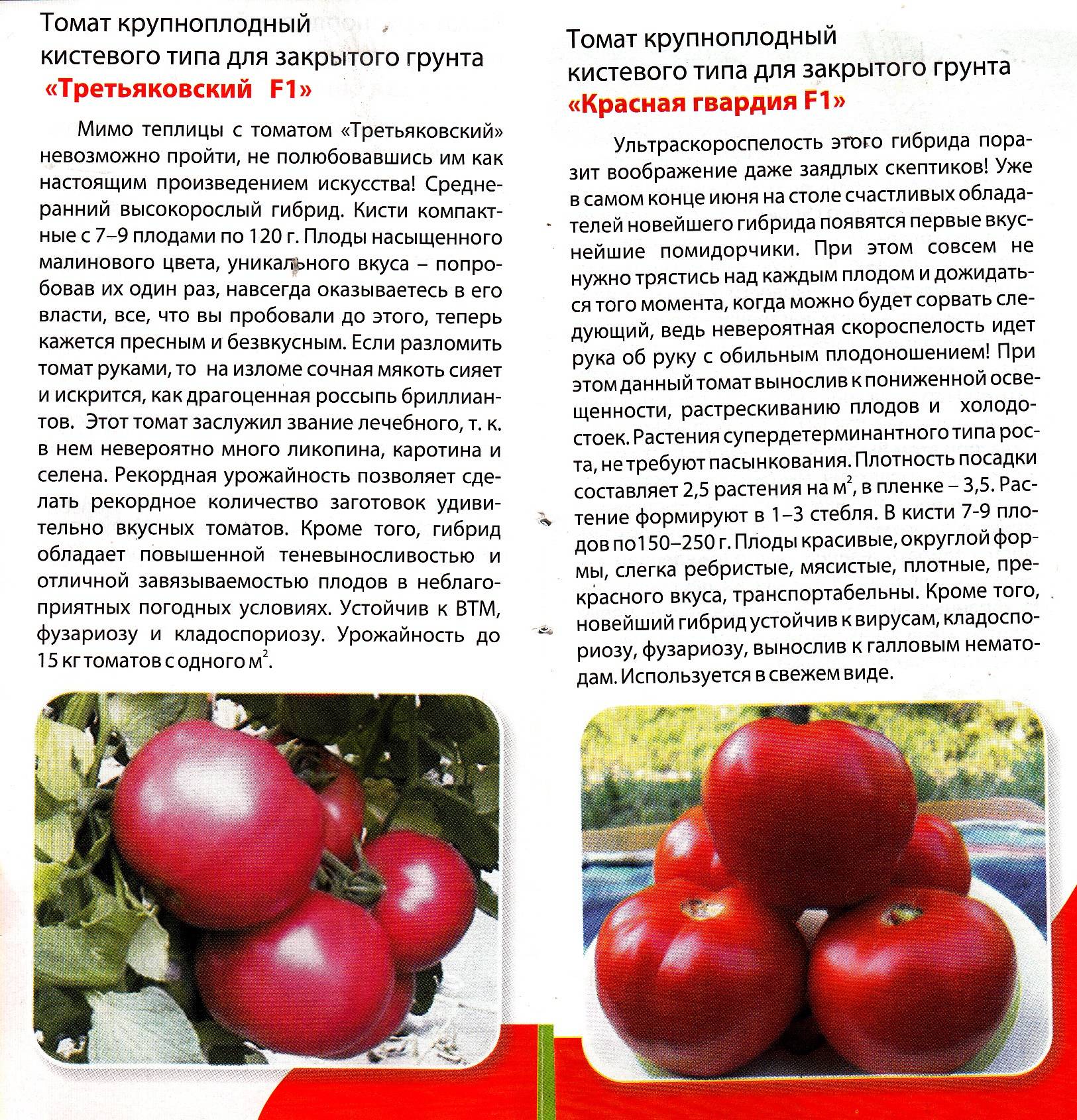 Описание сорта томата старосельского, его характеристика и урожайность