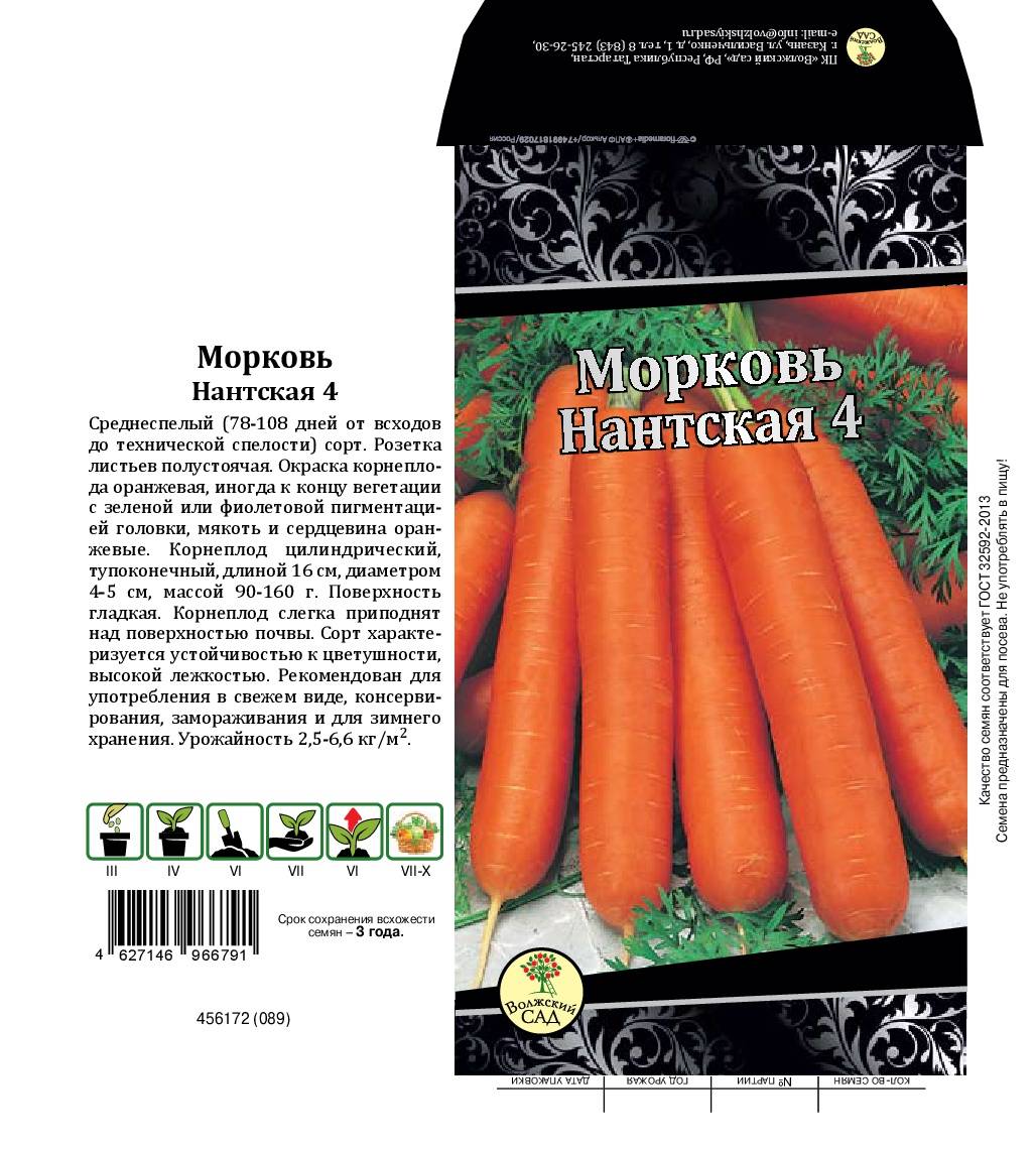 Морковь абако: характеристика и описание, отличие от других видов и похожие сорта, достоинства и недостатки, а также особенности выращивания и ухода