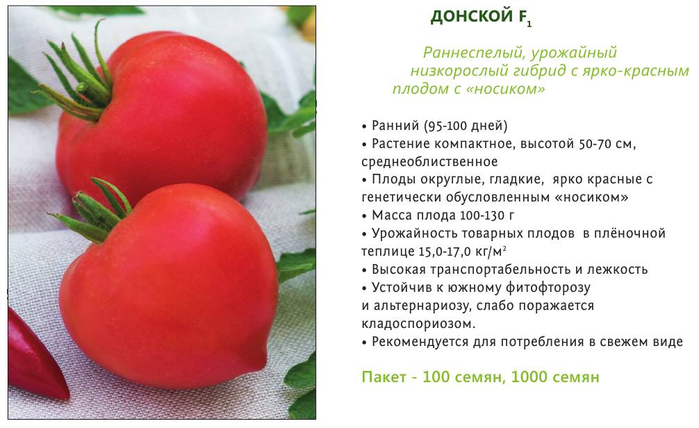 Описание томата Донской f1 и особенности сорта