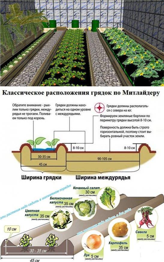 Выращивание картофеля по методу митлайдера: описание и суть метода, выращивание