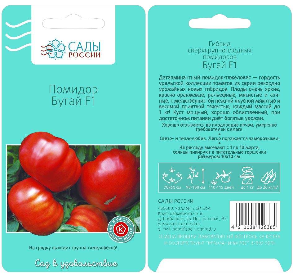 Описание, характеристика, посев на рассаду, подкормка, урожайность, фото, видео и самые распространенные болезни томатов сорта «паленка».
