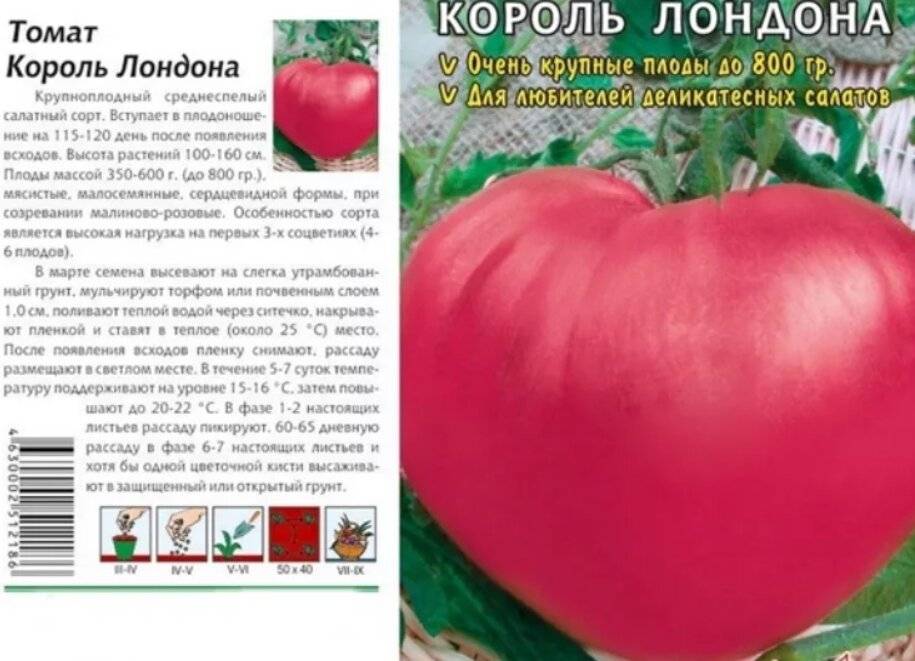 Лучшие сорта розовых томатов – рейтинг от читателей огород.ru (отзывы и фото)