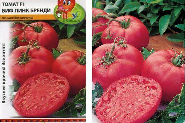 Сорт с отличным вкусом — томат брендивайн розовый (pink brandywine): описание помидоров