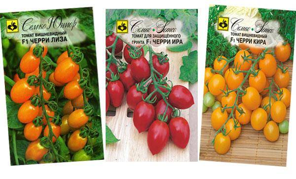 Лучшие сорта томатов черри для теплицы и открытого грунта: топ-25 с фото, описаниями и характеристиками
