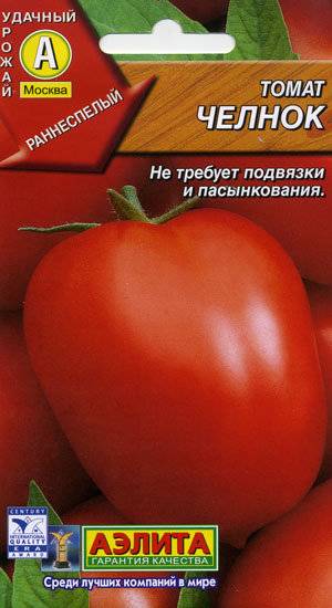 Томаты сорт челнок характеристика. Семена. Томат "челнок". Томат челнок фото и описание. Челнок томат описание.