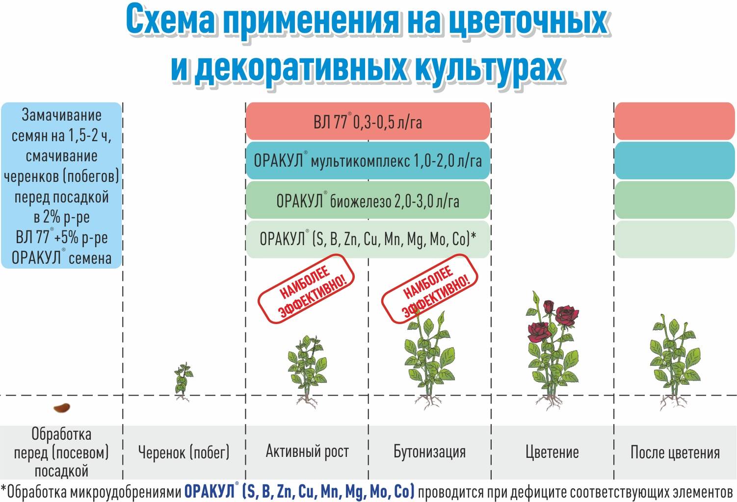 Стимуляторы и регуляторы роста растений: циркон, эпин, гуматы, атлет, байкал-эм1, стимулятор нарцисс, корневин, как разводить