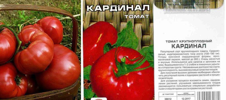 Томат кардинал: описание сорта, отзывы, фото, урожайность
