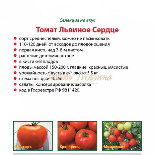Семена томатов сибирской селекции: 60 самых урожайных сортов