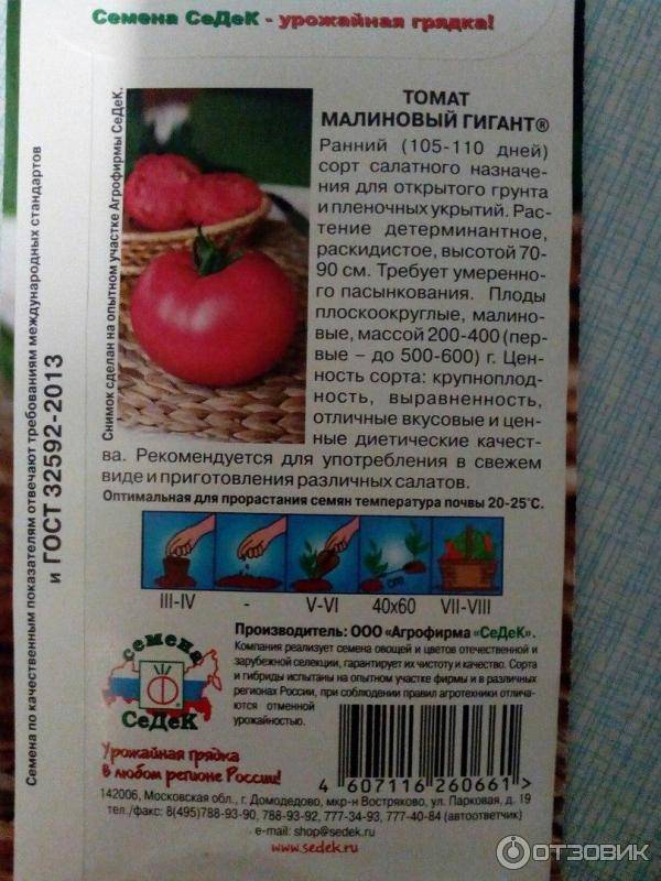 Бесподобный салатный сорт с долгим плодоношением — томат малиновый урожай: отзывы и описание