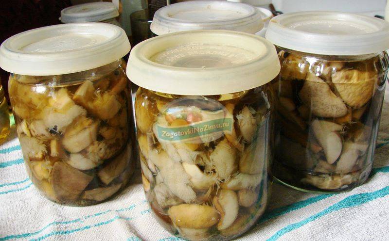 Как мариновать белые грибы на зиму в банках? простые рецепты маринованных белых грибов