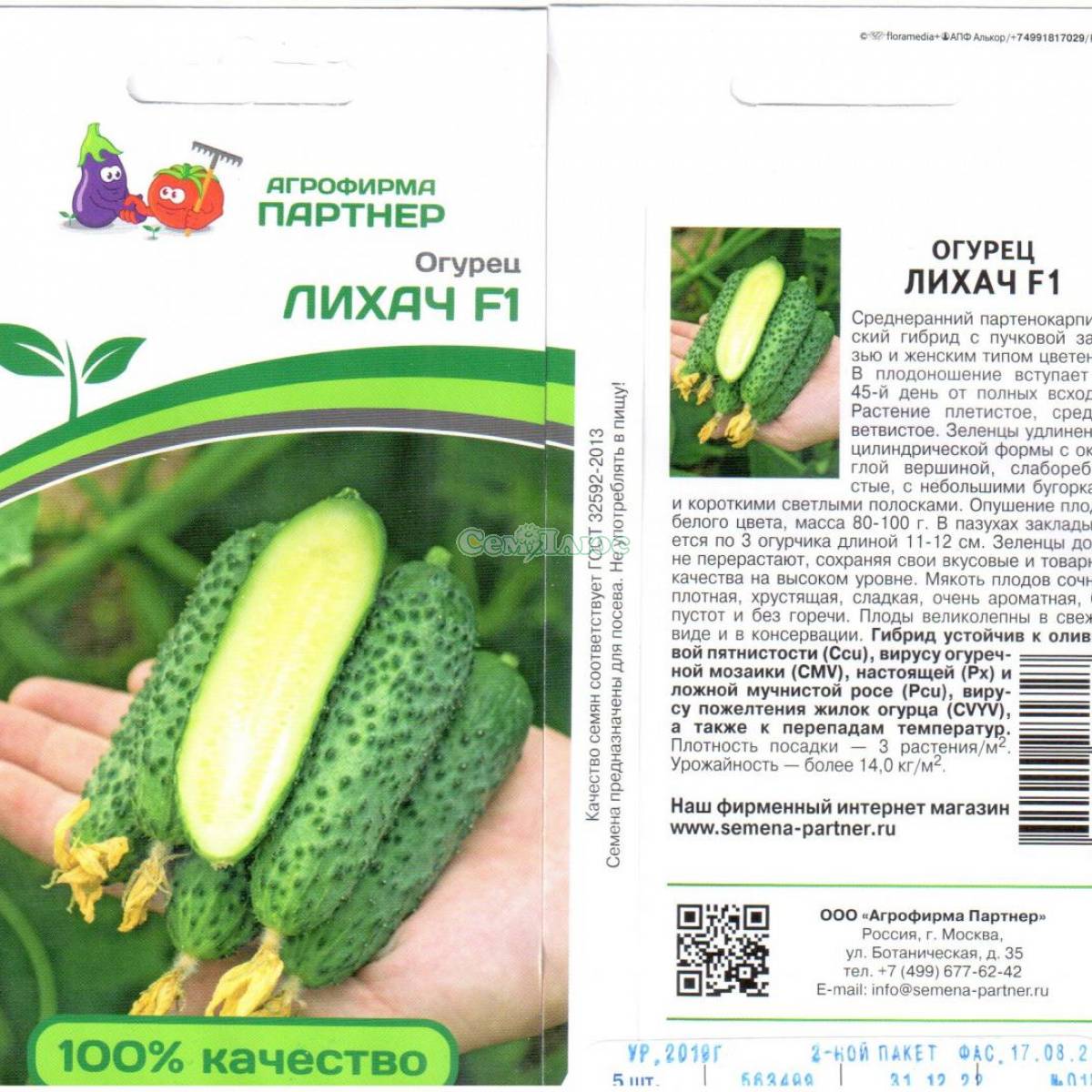 Огурцы патти: описание и характеристика сорта, выращивание с фото