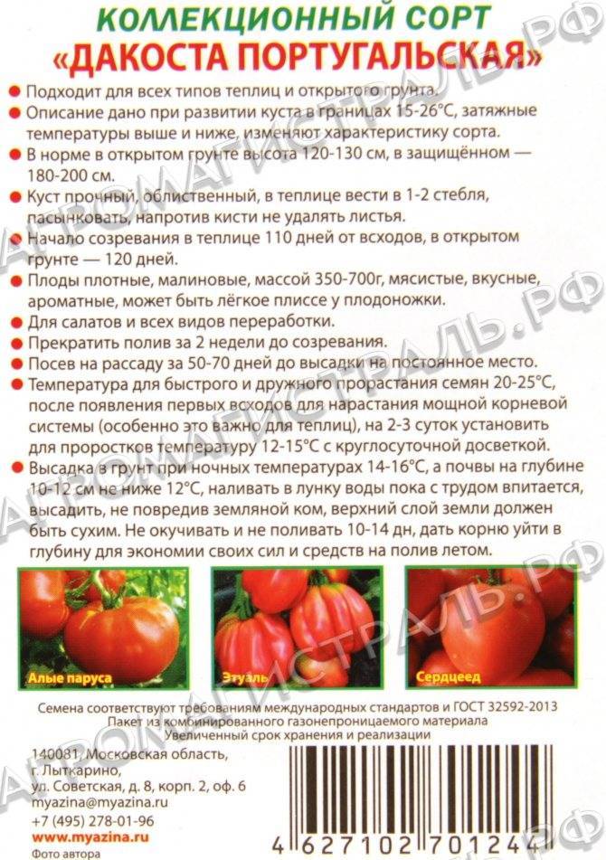 Подарок для огородников из северных регионов со сложным климатом — устойчивый и урожайный томат «подснежник»