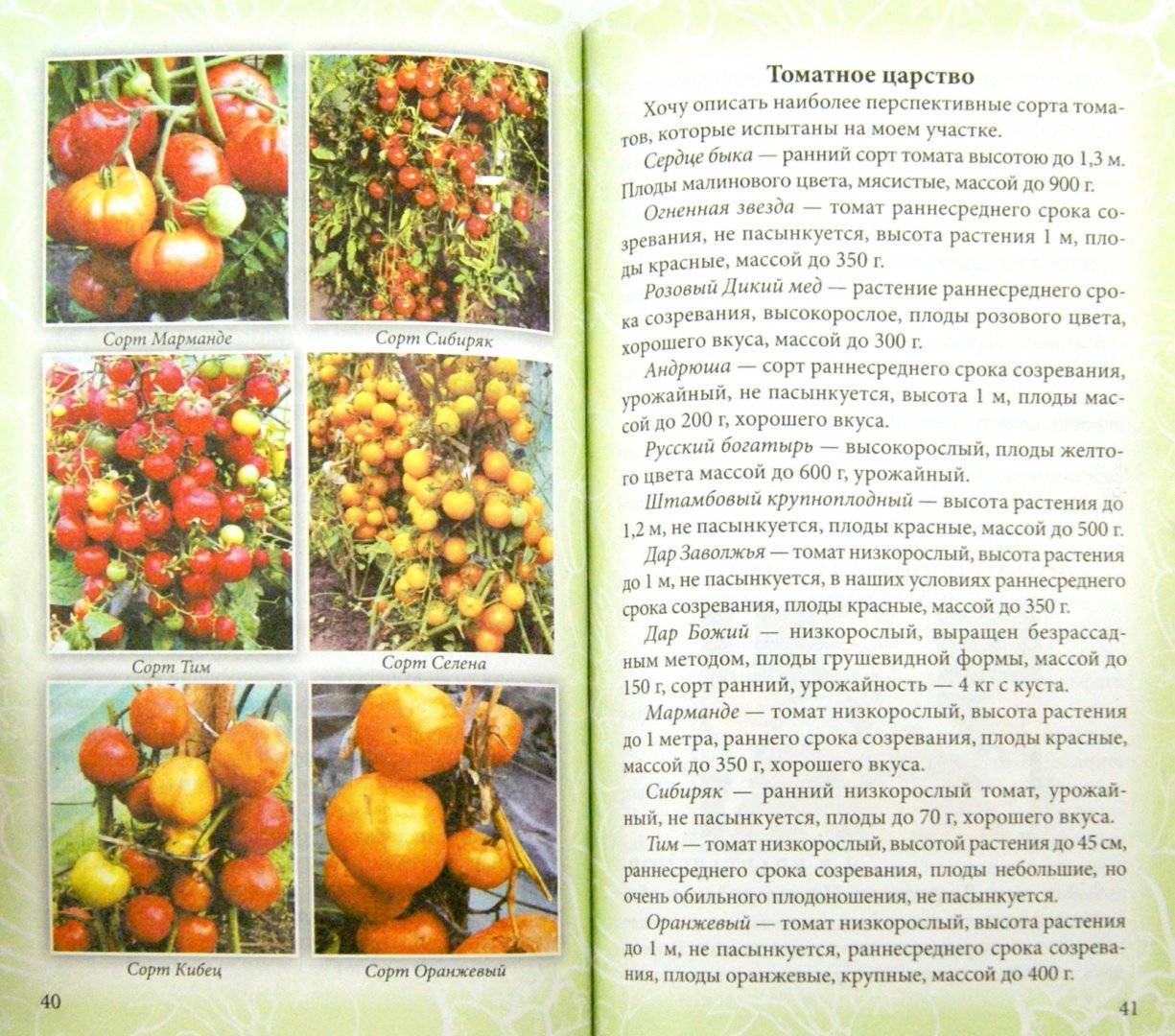Томат соседская зависть f1: описание и характеристика сорта, урожайность отзывы фото