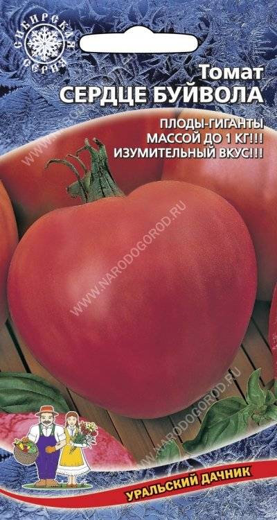 Сорт томатов сердце буйвола, описание, характеристика и отзывы, а также особенности выращивания