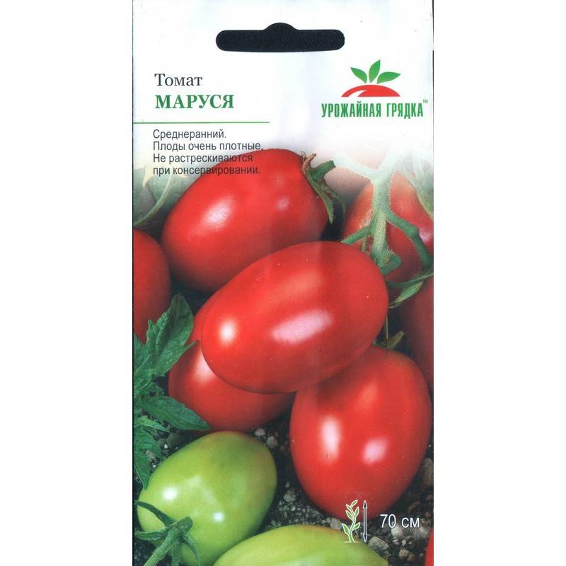 Отзывы, описание, характеристика, урожайность, фото и видео сорта помидоров «маруся».