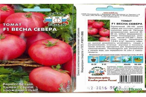 Описание раннеспелого томата Весна Севера F1 и правила выращивания рассадным методом