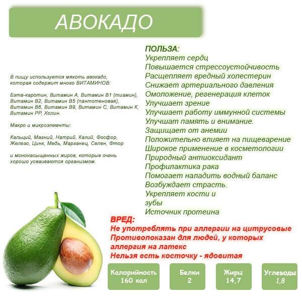 Масло авокадо: полезные свойства, показания к применению, состав и противопоказания