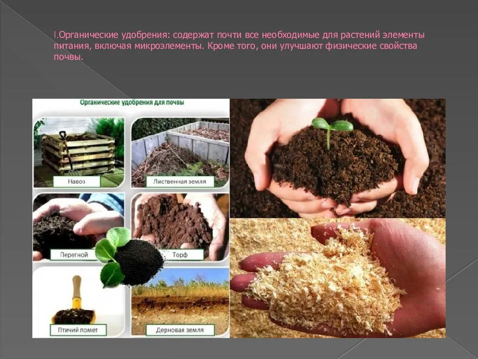 Коровий навоз: разновидности удобрения, как использовать перегной и раствор органической подкормки в саду