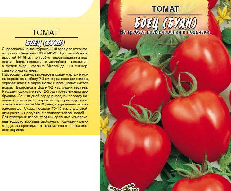 Томат гроздевой: характеристика и описание сорта, урожайность с фото