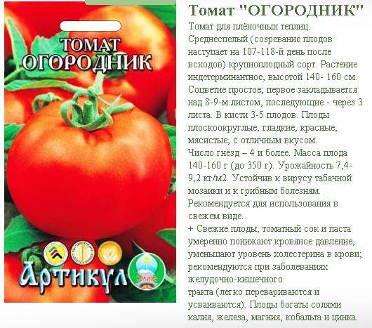 Томат мечта огородника : описание сорта, характеристика и фото русский фермер