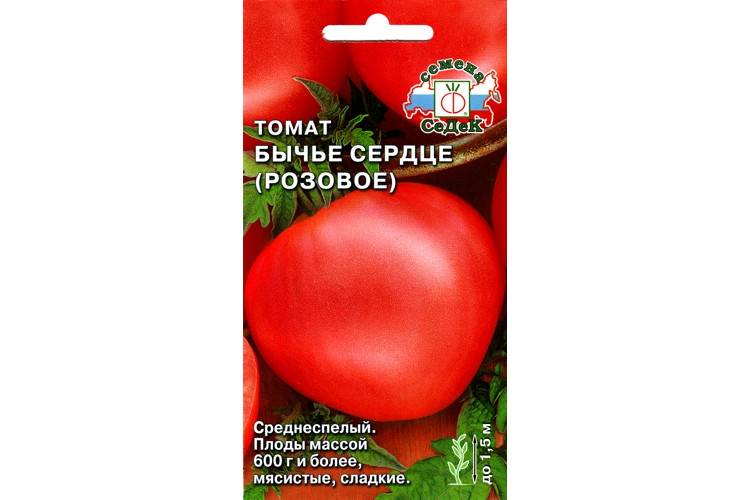 Сорт красного томата «бычий лоб»: описание, уход и сбор урожая