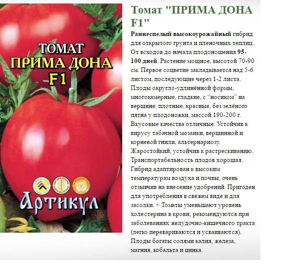 Сорт томата вечный зов: описание и фото