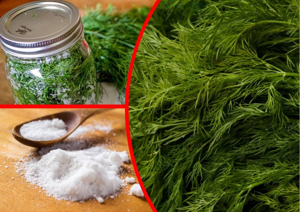 Хрустящие солёные огурцы на зиму в банках — 10 вкусных рецептов в домашних условиях