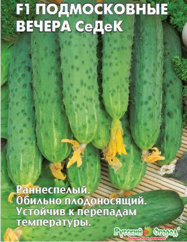 Огурец вьюга f1: отзывы, описание сорта и фотографии, выращивание и уход, урожайность – zelenj.ru – все про садоводство, земледелие, фермерство и птицеводство