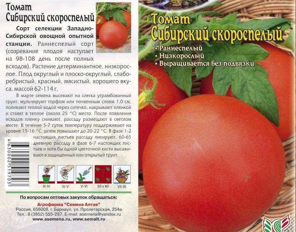 Характеристики и описание сорта томатов Сибирский скороспелый, урожайность и выращивание