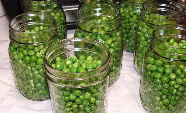 Рецепты консервирования зеленого горошка на зиму в домашних условиях и хранение