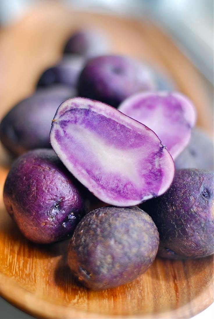 Синяя картошка — полезные свойства и вред | польза и вред