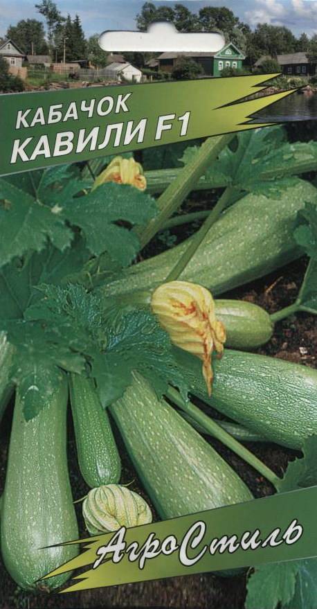 Характеристика и описание гибрида кабачка кавили f1: выращивание и уход