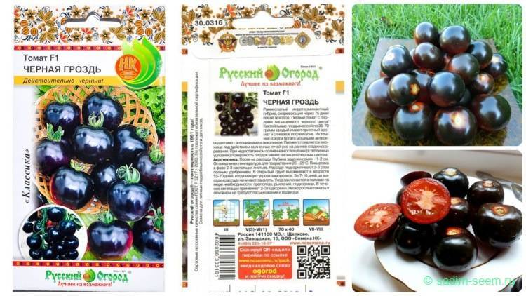 Лучшие сорта черных томатов: фото и отзывы огородников