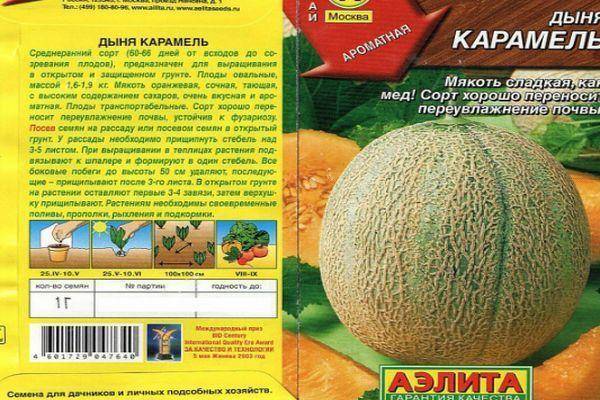 Описание сладкой дыни Карамель, выращивание рассады и борьба с вредителями гибрида
