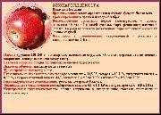 Описание сорта яблони делишес ред: фото яблок, важные характеристики, урожайность с дерева
