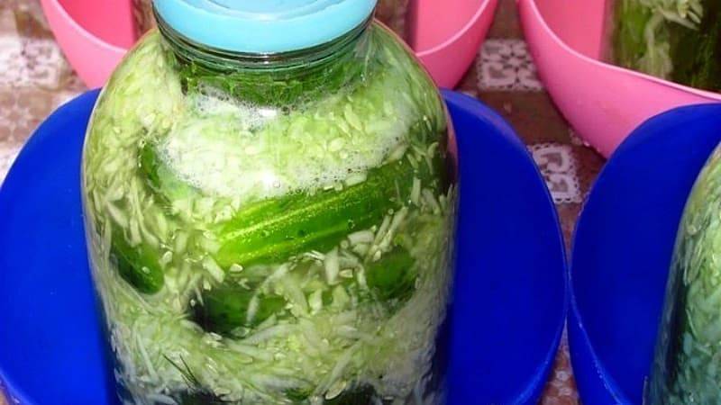 Рецепты приготовления кольраби: капуста, вкусно и полезно, салат на зиму, хранение, заготовка без стерилизации, можно ли есть листья, блюда