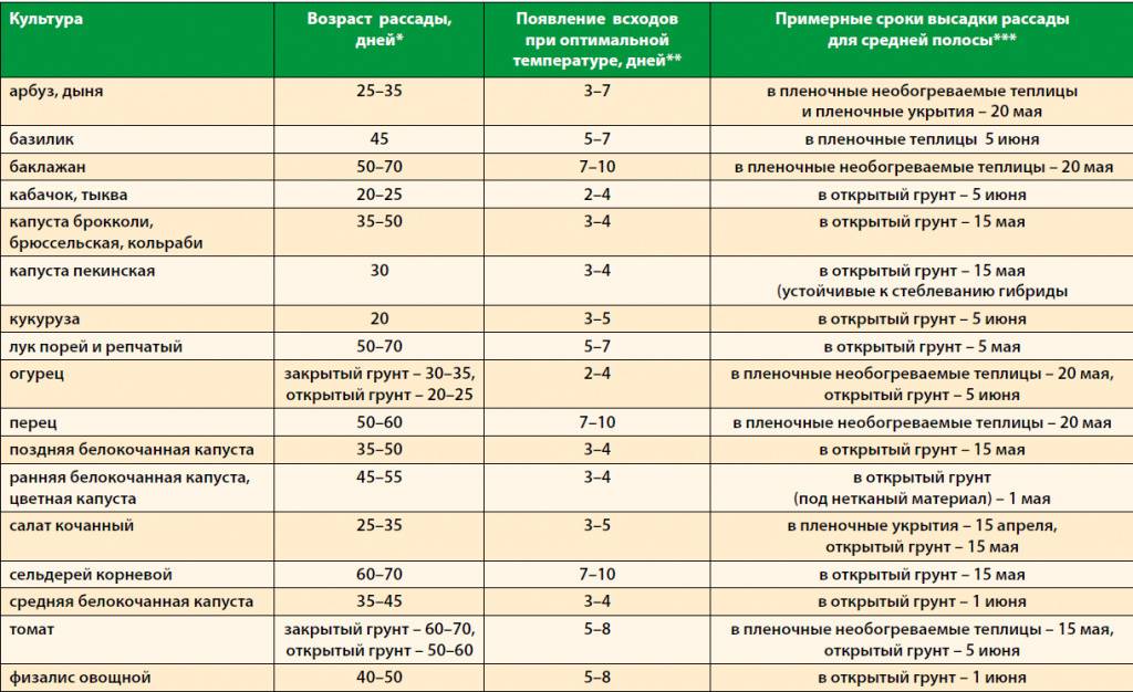 Выращивание огурцов в ленинградской области: инструкция, сроки