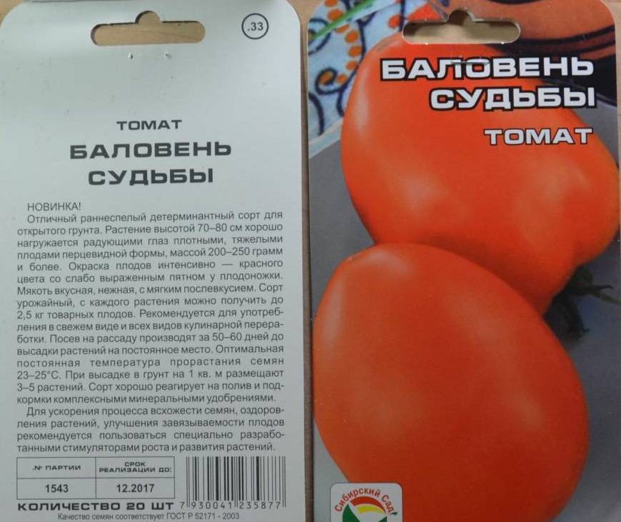 Лучшие детерминантные сорта томатов для россии