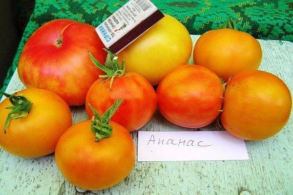 Томат синий ананас: характеристика и описание сорта, урожайность, фото, отзывы