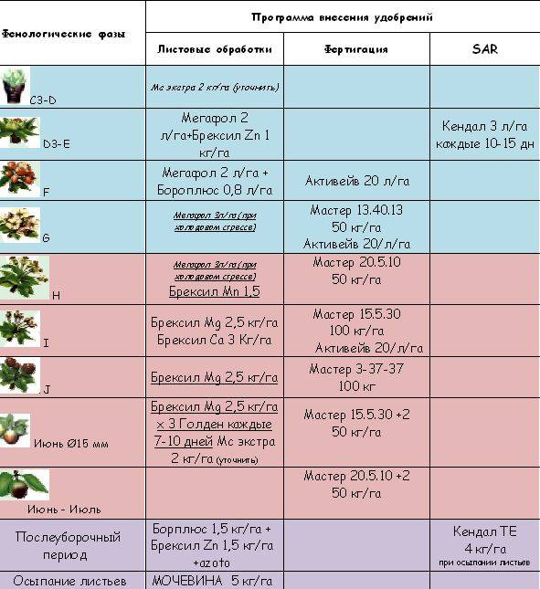 Чем подкормить груши весной: для роста, для урожая, сроки и правила подкормки
