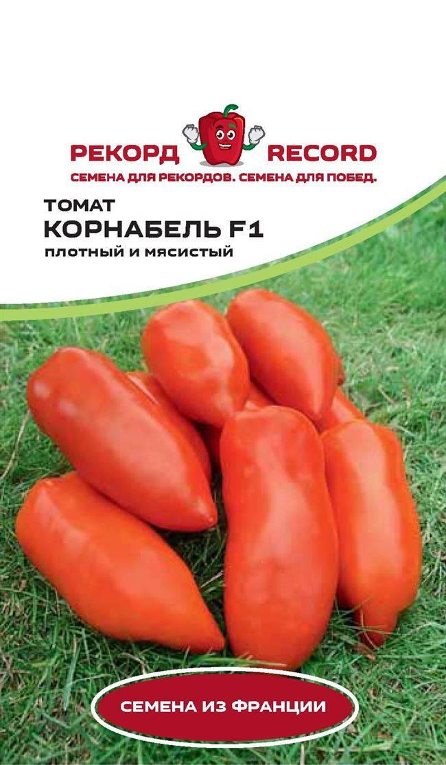 Описание и характеристики гибрида томата корнабель f1