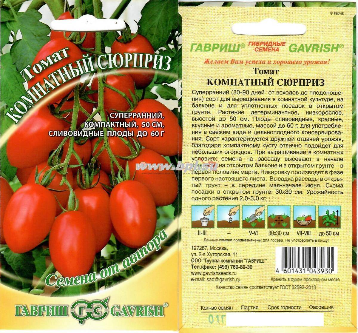 Описание раннего томата Комнатный сюрприз и агротехника выращивания