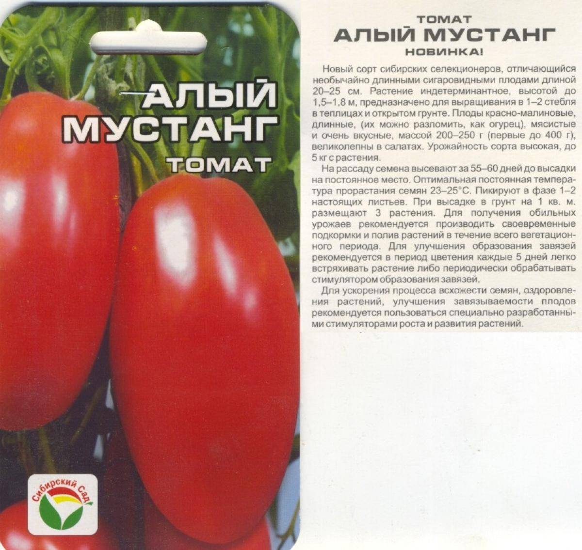 Томат сибирский сюрприз: описание и характеристика, отзывы, фото, урожайность