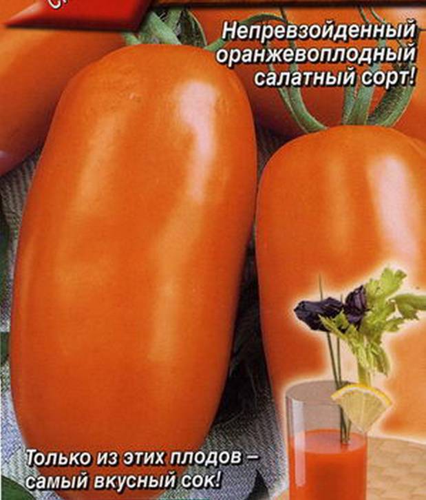 Описание экзотического сорта томата Банан оранжевый и выращивание в огороде