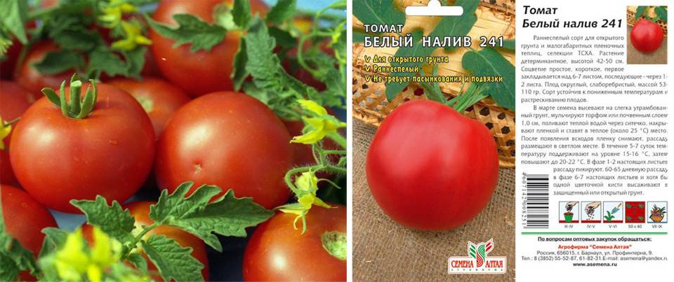 Когда сеять ранние помидоры на рассаду: сроки посадки