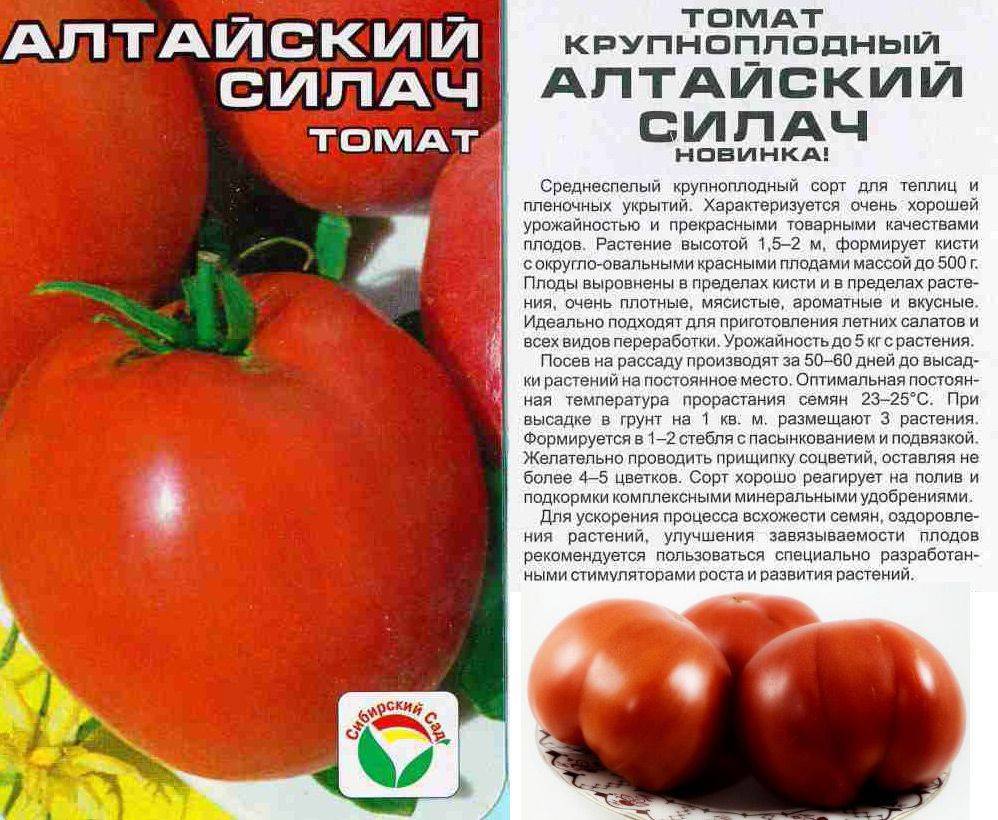 Лучшие ранние сорта томатов