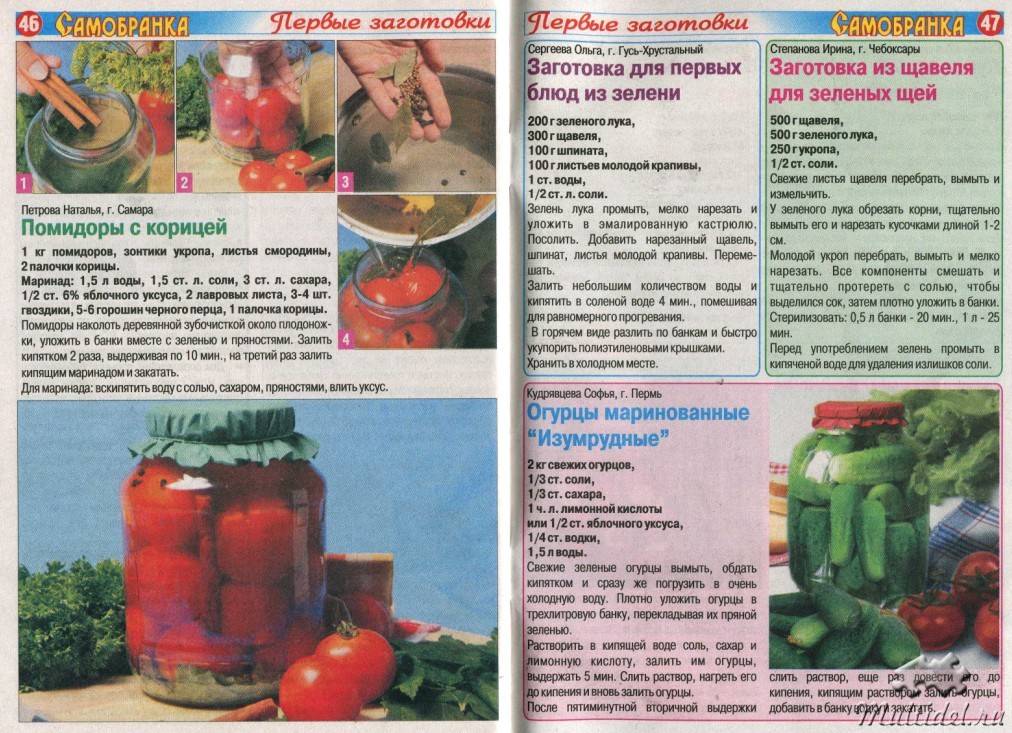 Маринованные помидоры быстрого приготовления — 5 рецептов!