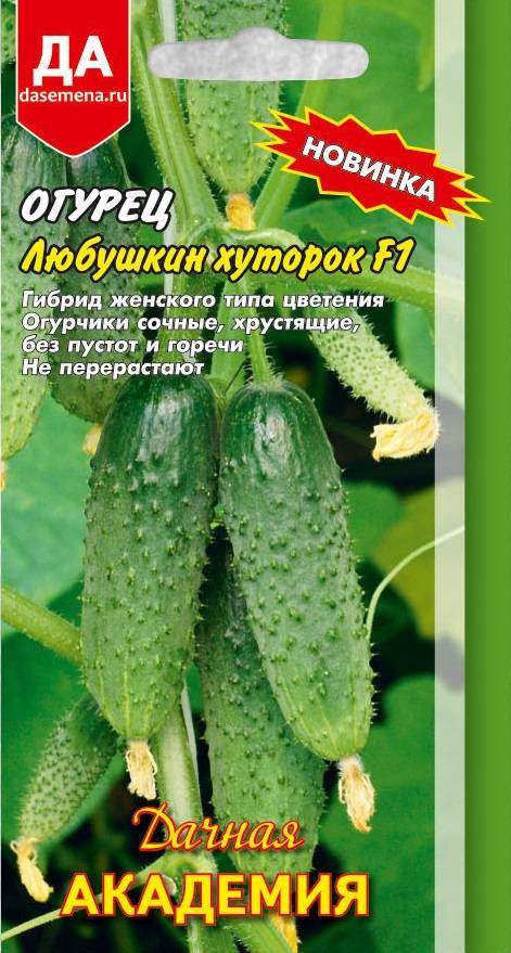 Чудо хрустик f1 – гибридный огурец. как выглядит, положительные и отрицательные свойства, выращивание